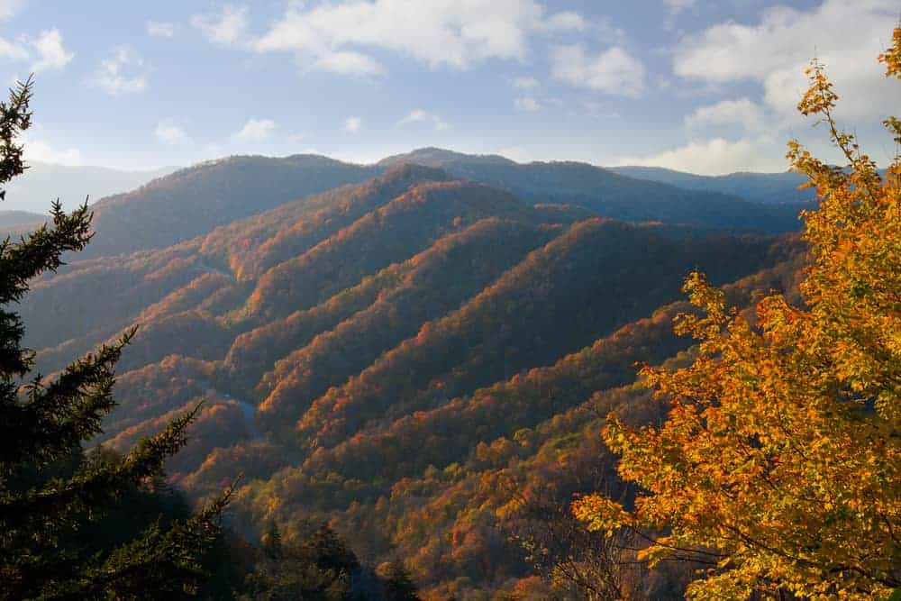 Beautiful photo of the Smoky Mountains in the fall.