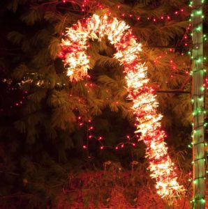 Christmas lights in a candy cane design