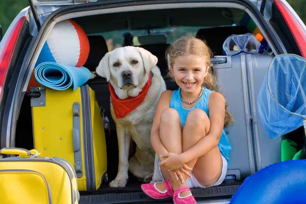 Little girl and dog packed up and in the car